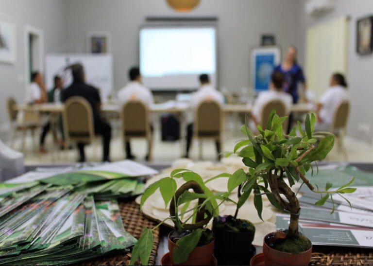 Palestras, Cursos e Conferências