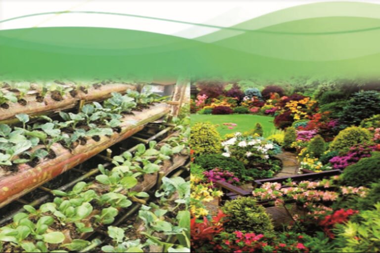 PROGRAMA JARDINS, HORTAS E AFINS