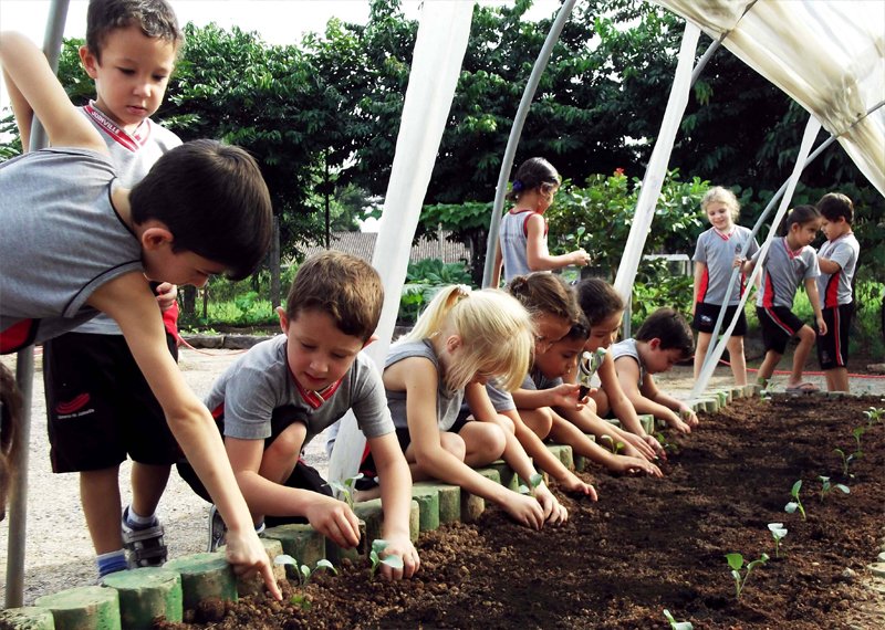PROGRAMA EDUCAÇÃO AMBIENTAL INFANTO-JUVENIL